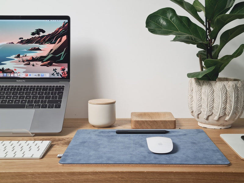 Clean organized LIGNIA desk setup with solid wood monitor riser