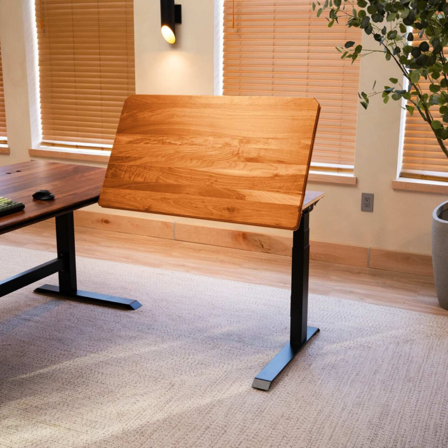 Desk Extension