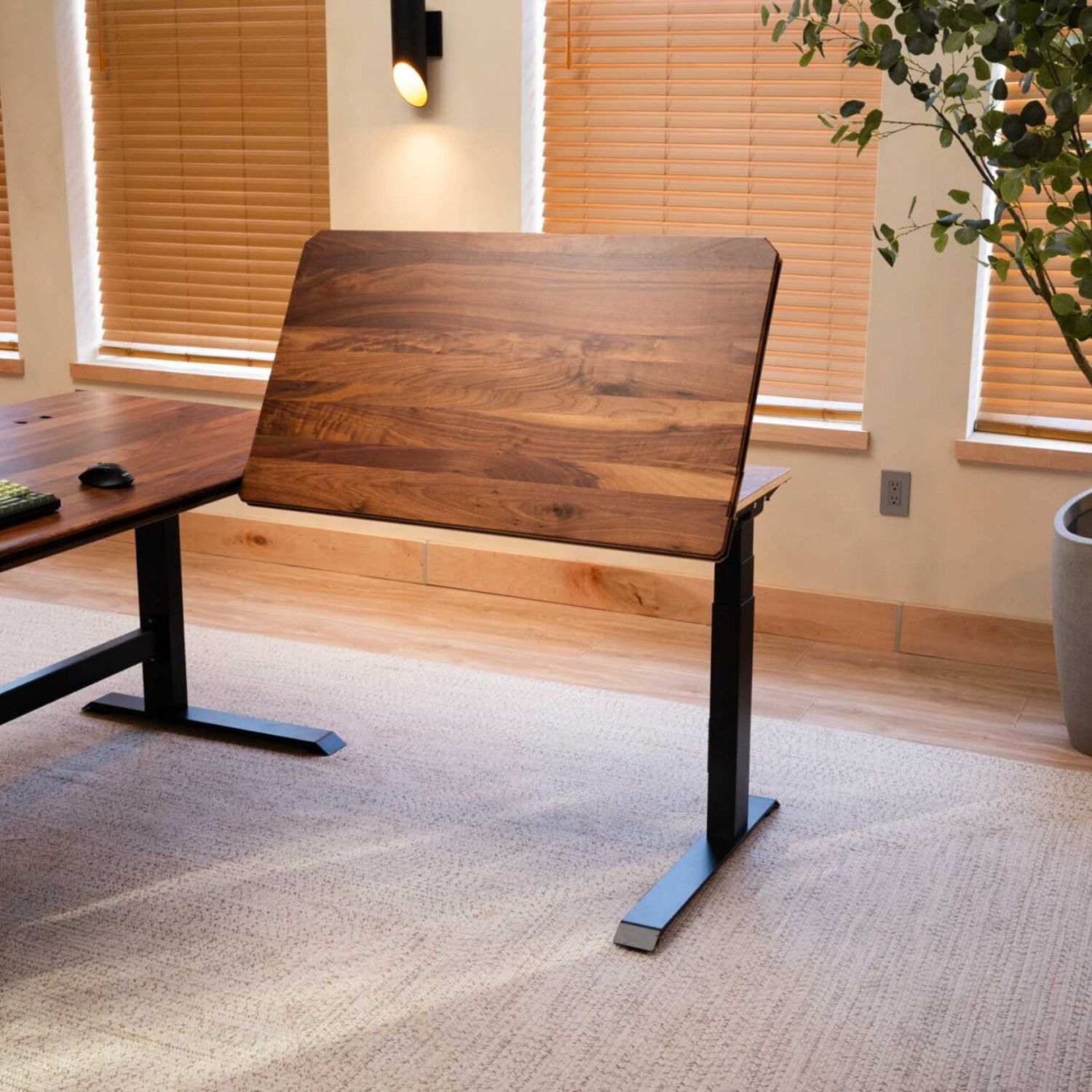 Desk Extension