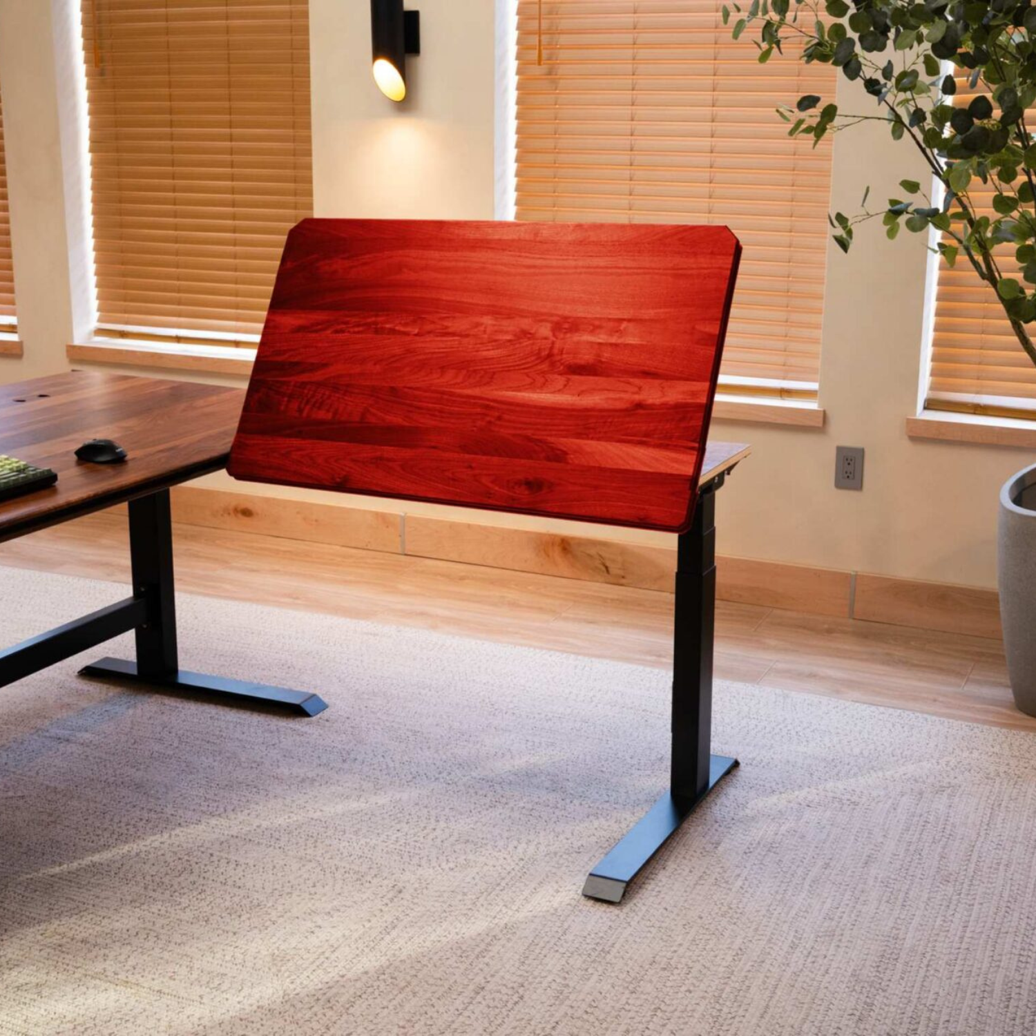 Desk Extension