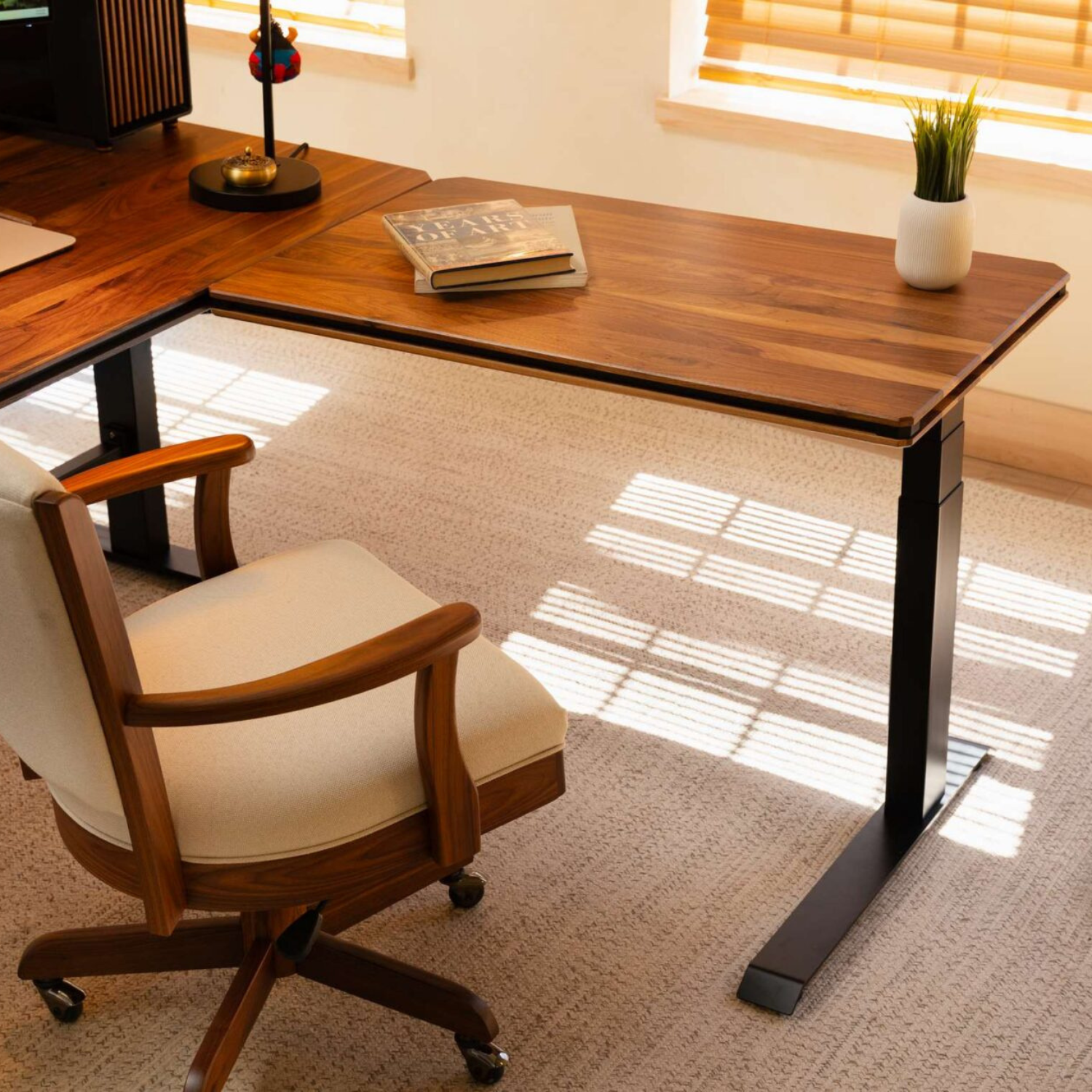 Desk Extension